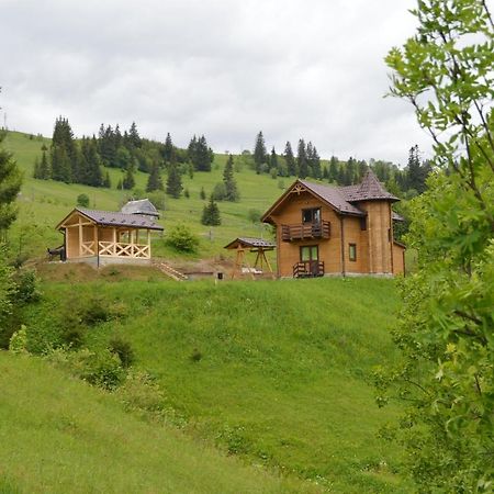 Пагорб Їжака / Hedgehog Hill Villa Yablunytsia Buitenkant foto