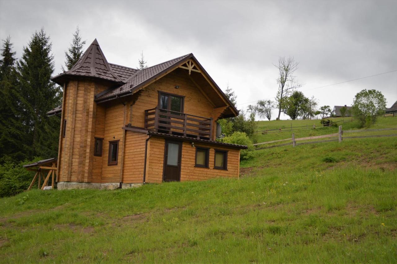 Пагорб Їжака / Hedgehog Hill Villa Yablunytsia Buitenkant foto