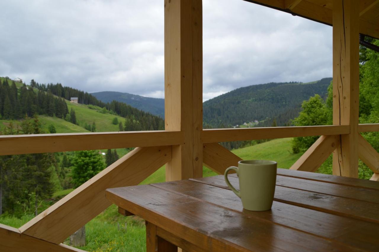 Пагорб Їжака / Hedgehog Hill Villa Yablunytsia Buitenkant foto