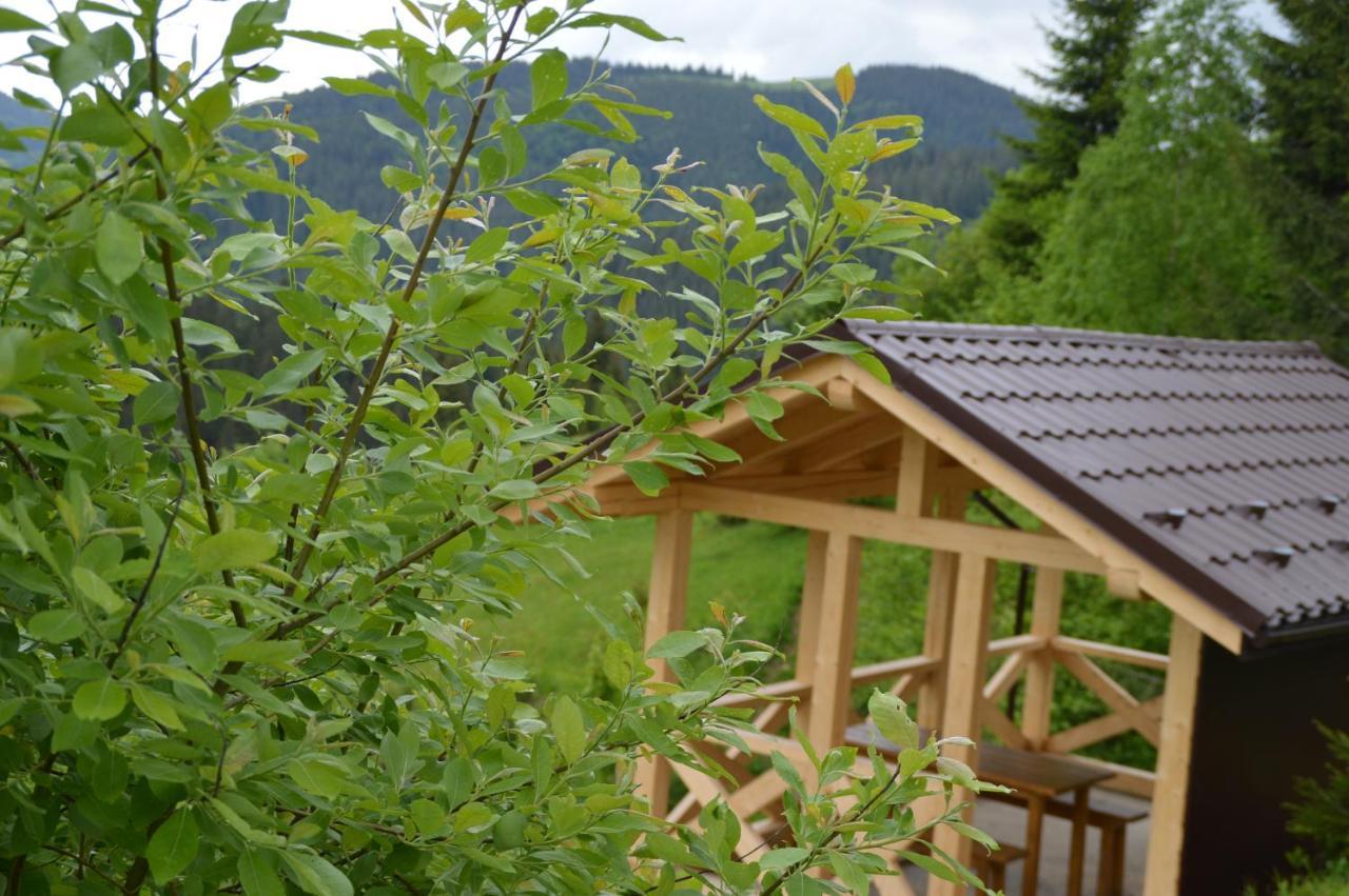 Пагорб Їжака / Hedgehog Hill Villa Yablunytsia Buitenkant foto